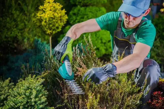 landscaping services Danville
